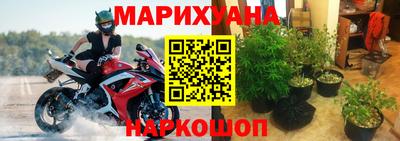 СК Рыбинск